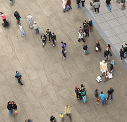昆士蘭砂巖 Queensland Stone